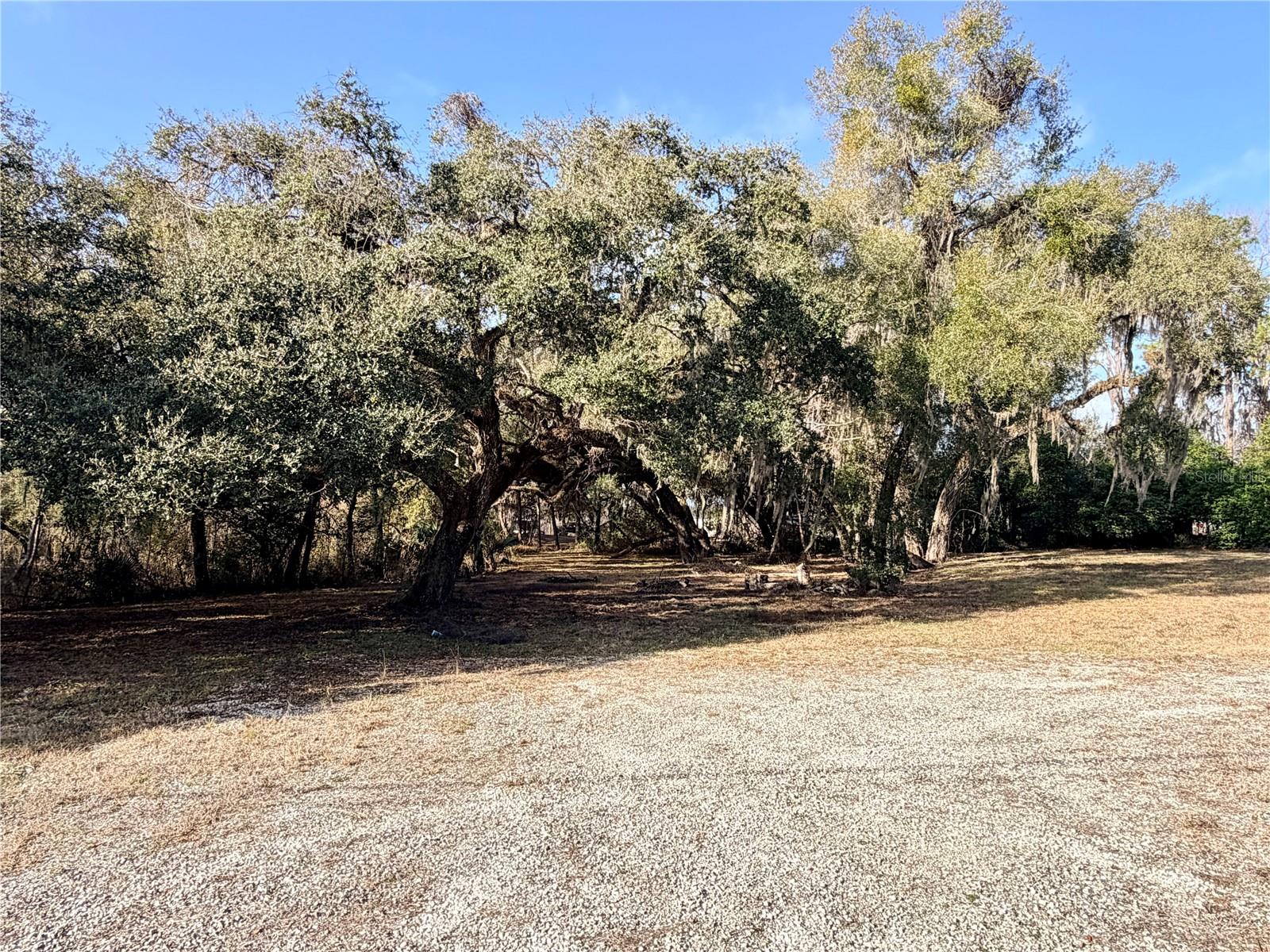 BEACON SQUARE UNREC - Land