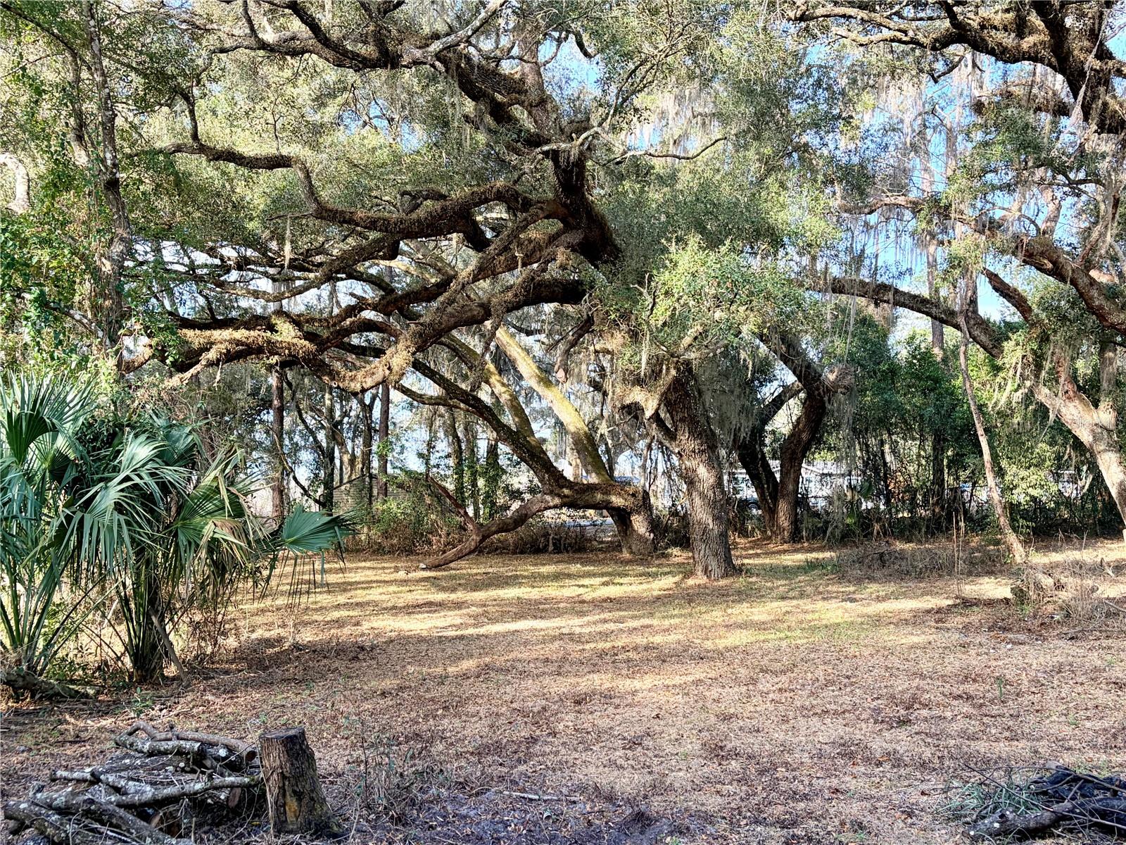 5666 S FLORIDA AVENUE