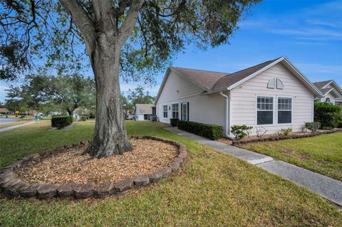 A home in PALM HARBOR