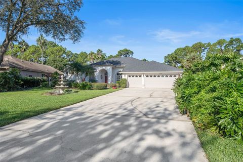 A home in ORLANDO