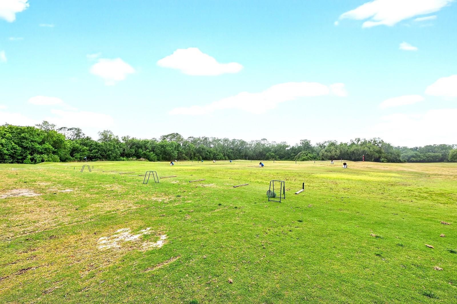 PLANTATION AT LEESBURG GLENDALE VILLAGE - Residential