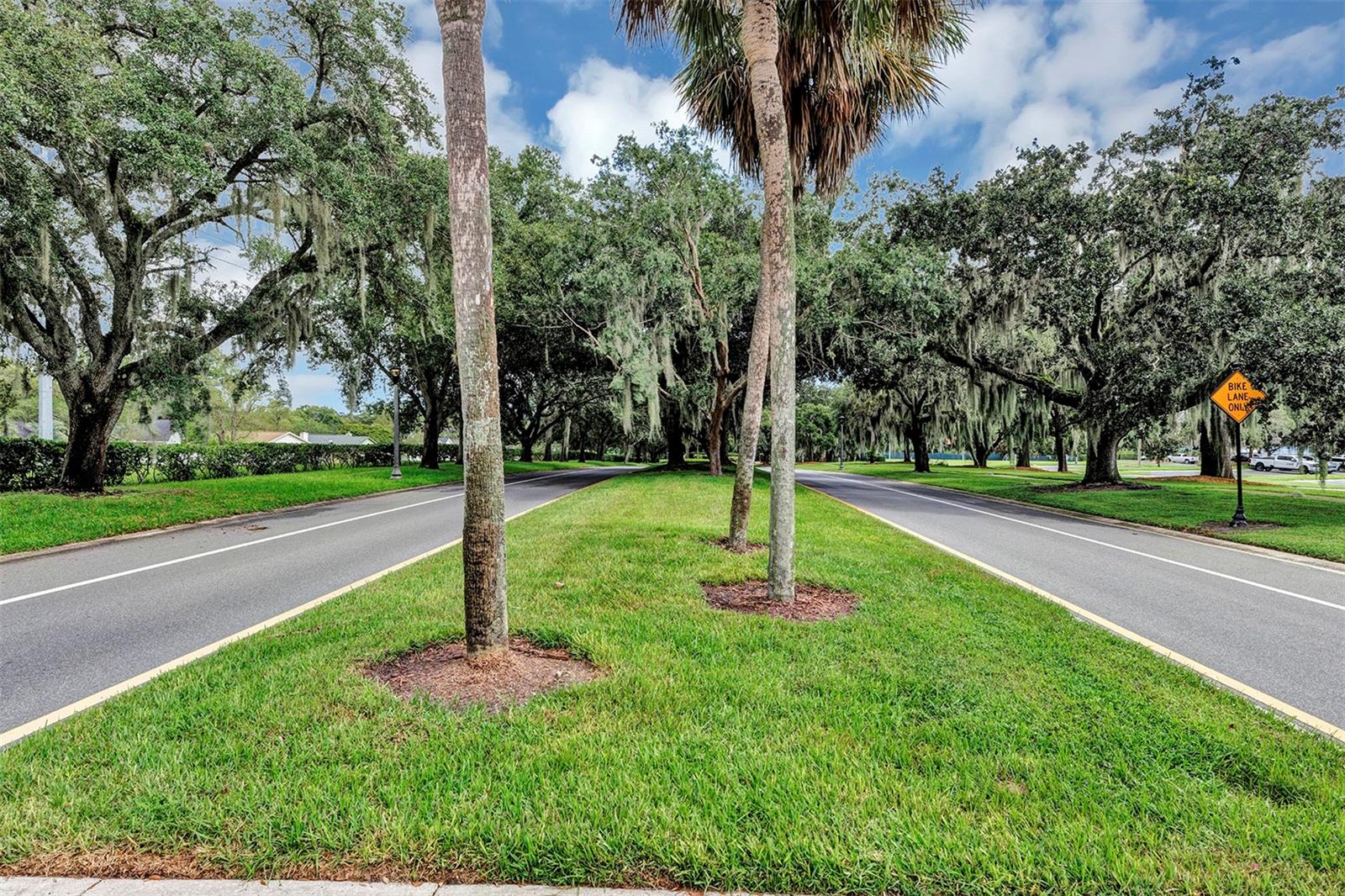 GREENS AT TUSCAWILLA BUILDING 3 A REPLAT - Residential