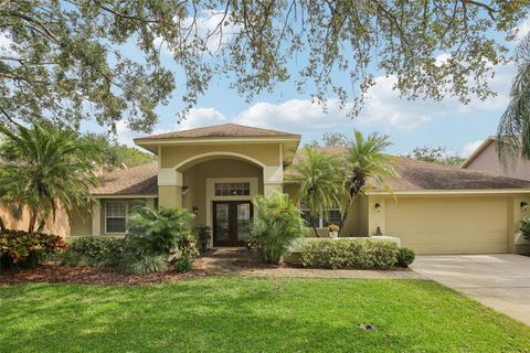 A home in TAMPA