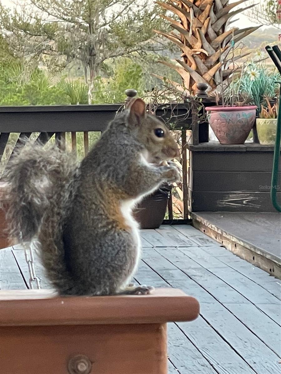 PALM COAST SEC 15 - Residential Lease