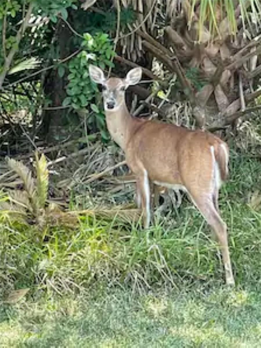 PALM COAST SEC 15 - Residential Lease