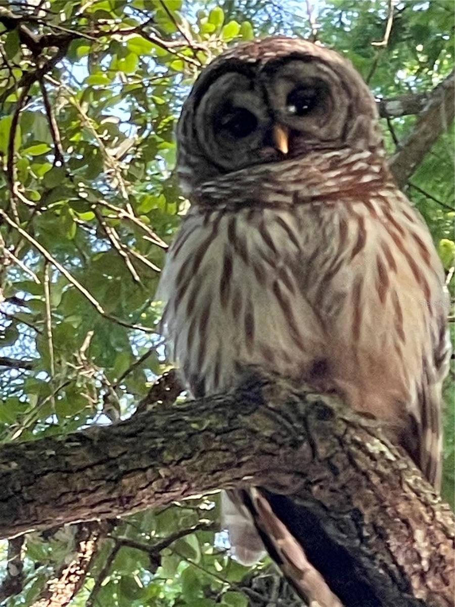 PALM COAST SEC 15 - Residential Lease