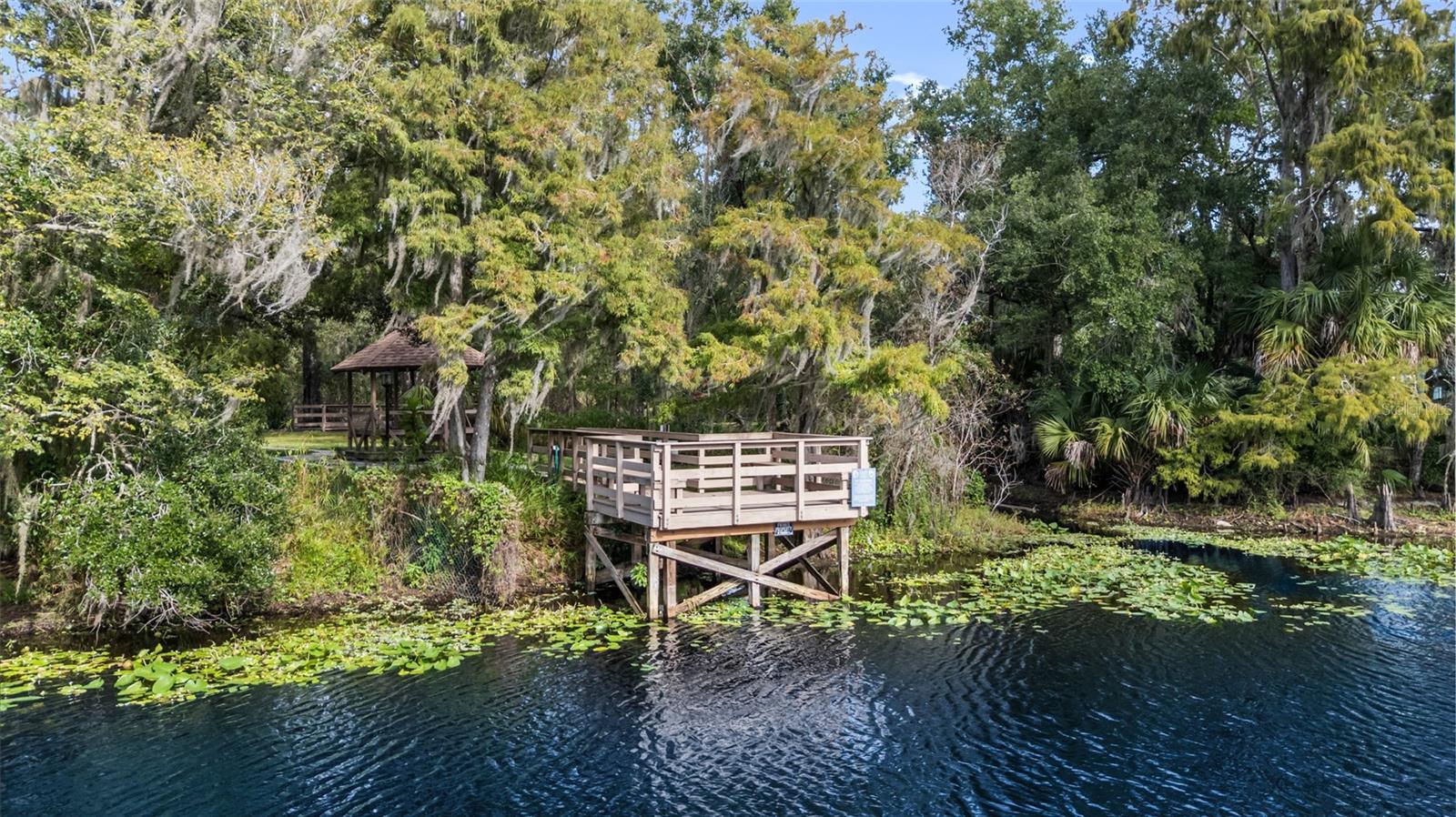 VISTA DEL RIO - Residential