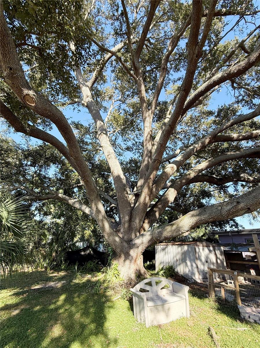 RIDGEWOOD ESTATES RESUB - Residential