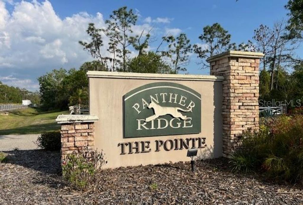 Photo of 24005 83rd Avenue E, Myakka City, FL 34251 (MLS # TB8491634)