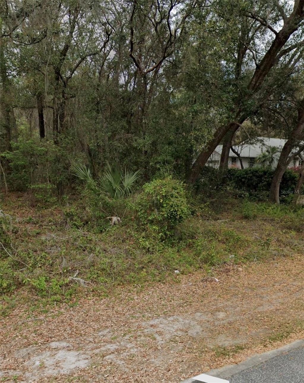 Photo of 101 Piney Woods Road, Apopka, FL 32703 (MLS # O6384178)