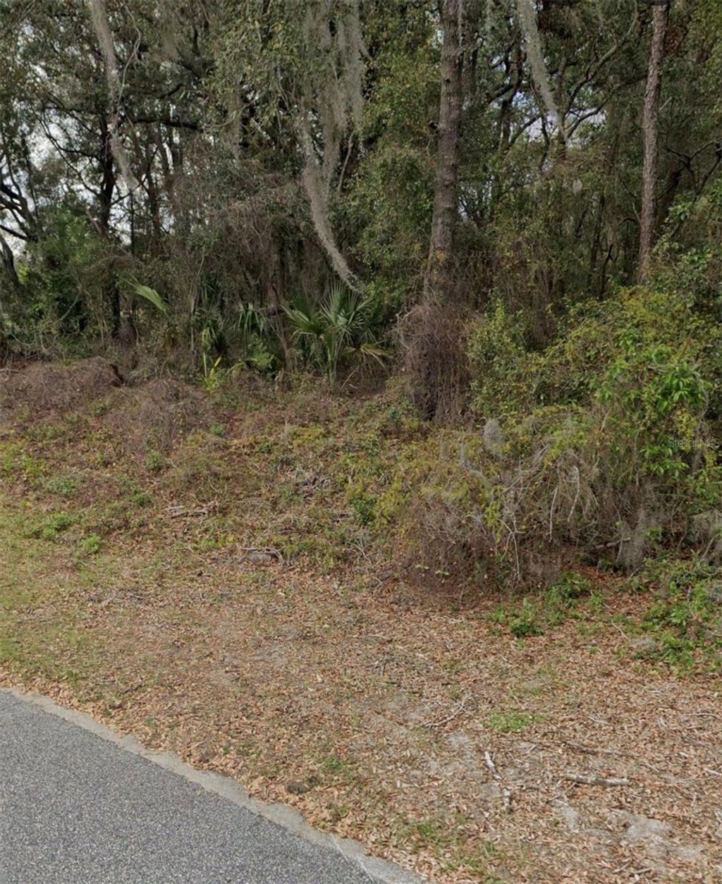 Photo of 101 Piney Woods Road, Apopka, FL 32703 (MLS # O6384178)