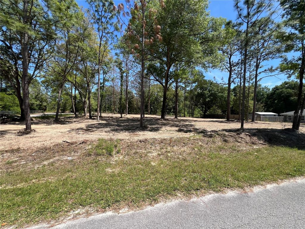 Photo of SW 110th Court, Dunnellon, FL 34432 (MLS # TB8380529)