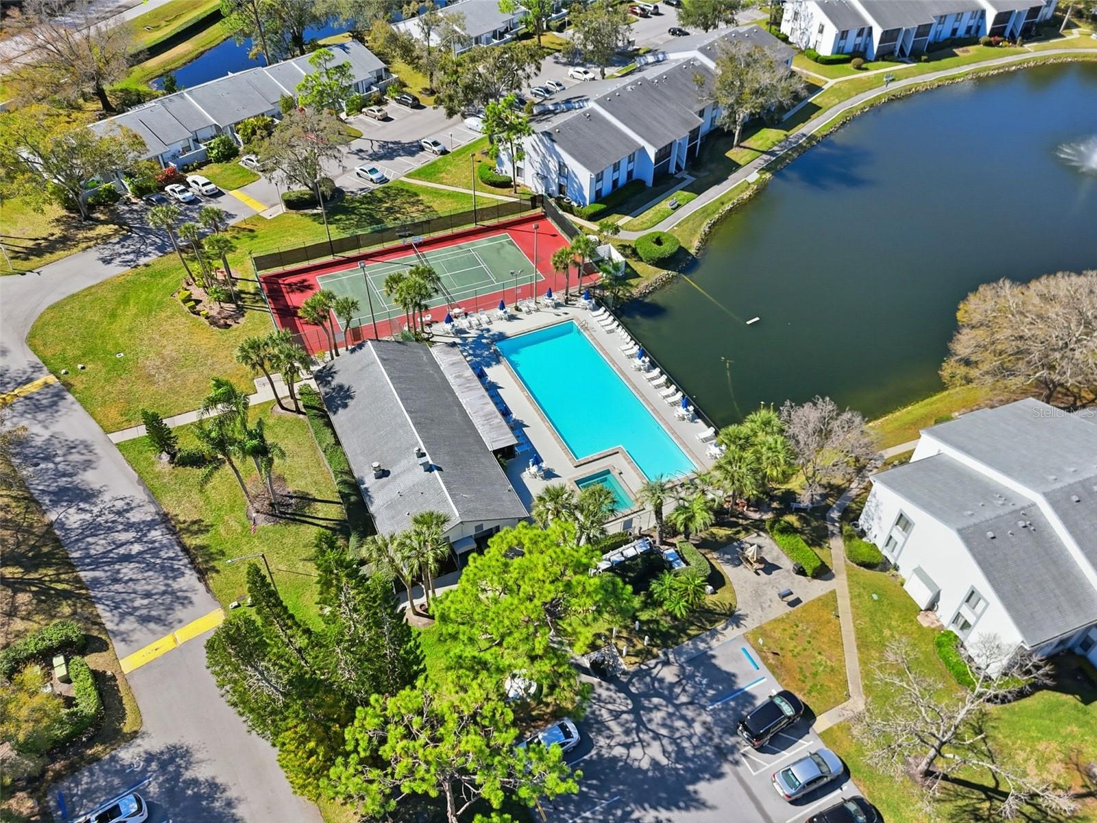 PINE RIDGE AT LAKE TARPON VILLAGE - Residential