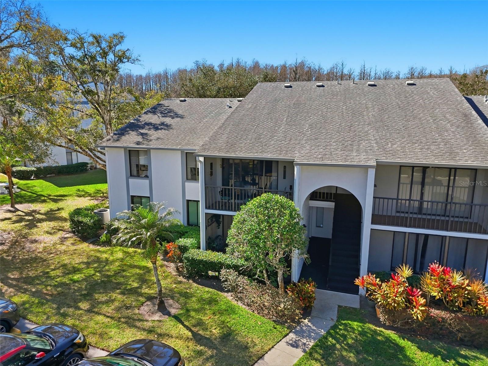 PINE RIDGE AT LAKE TARPON VILLAGE - Residential