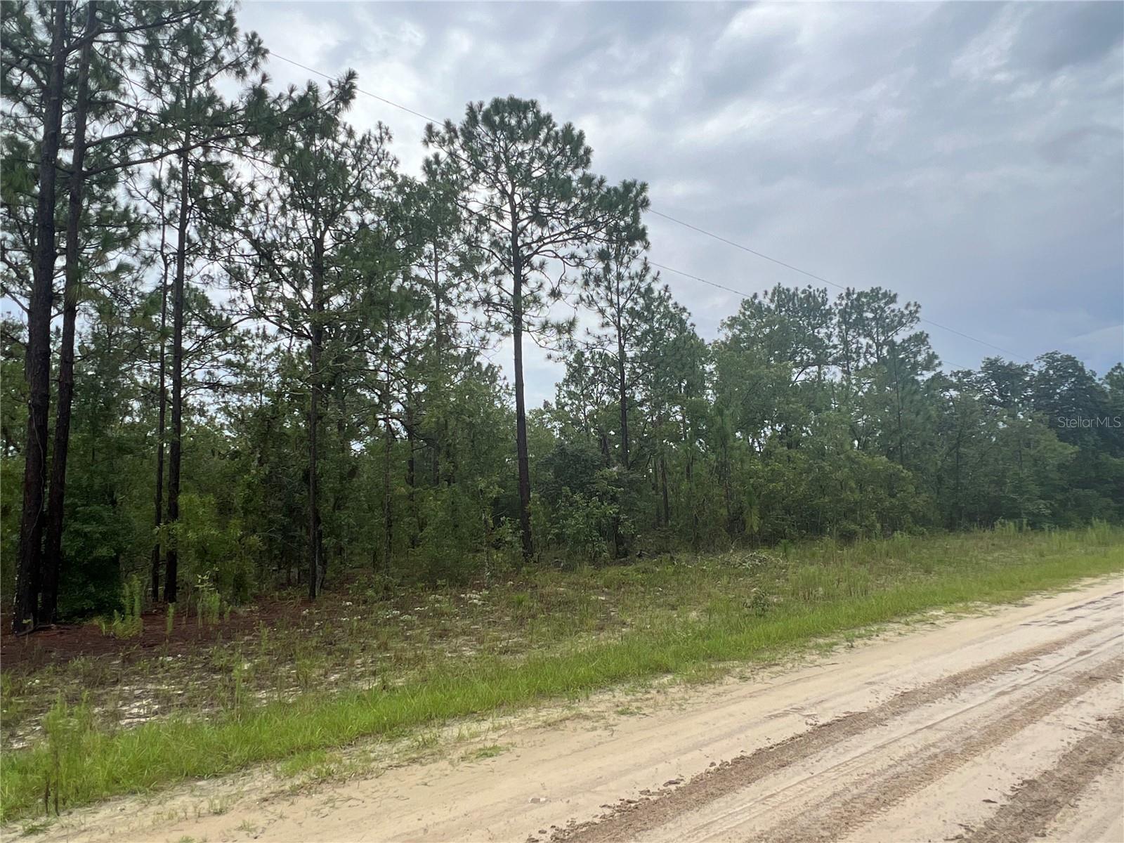 ROLLING HILLS UN 03 - Land