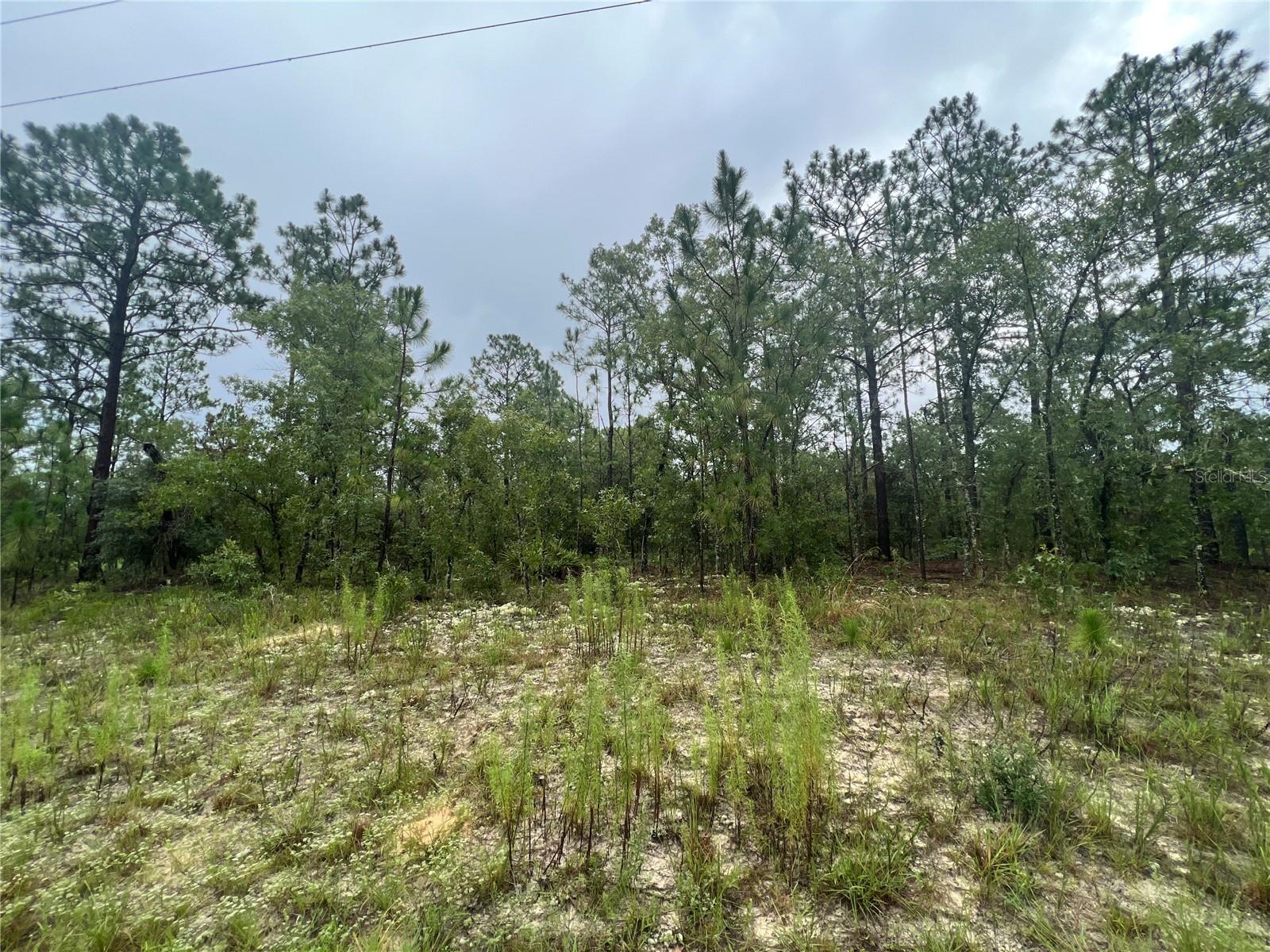 ROLLING HILLS UN 03 - Land