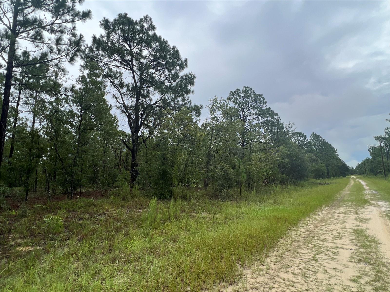 ROLLING HILLS UN 03 - Land