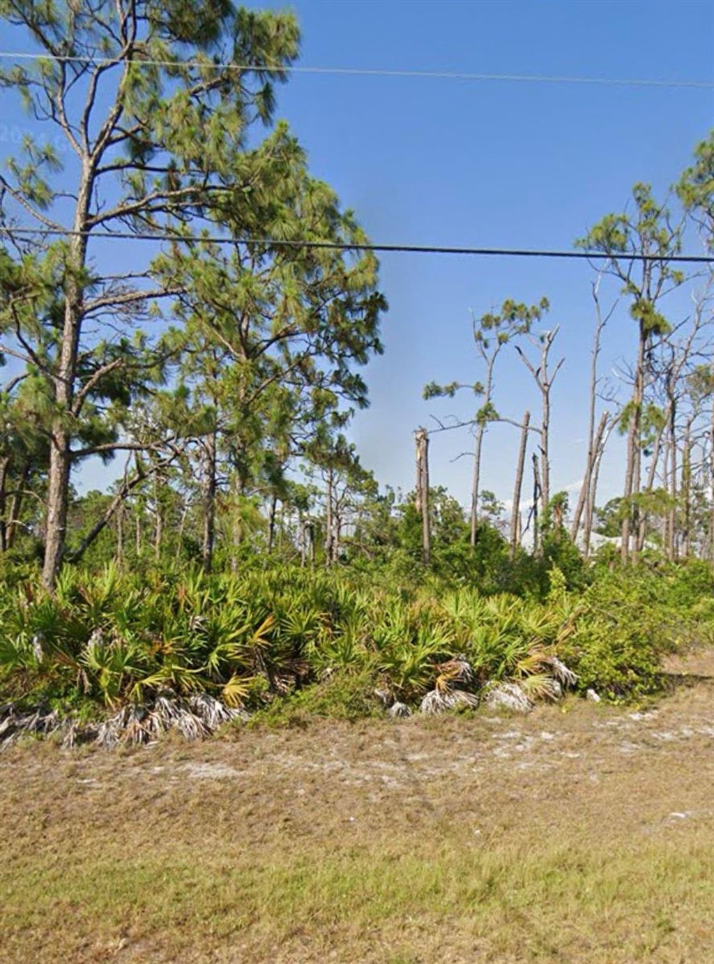 Photo of 110 Wahoo Drive, Rotonda West, FL 33947 (MLS # O6352852)
