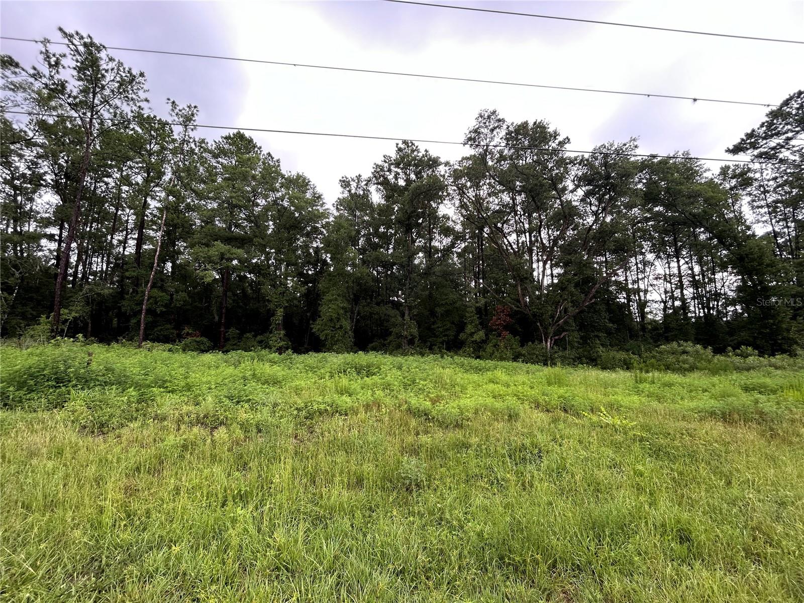 .44 ACRE LOT WITH PAVED ROAD FRONTAGE! This beautifully treed parcel is located just outside of Williston on Hwy 27 Alt towards Bronson. Lots of potential. Site built or manufactured home okay. No HOA and no deed restrictions. Survey available.