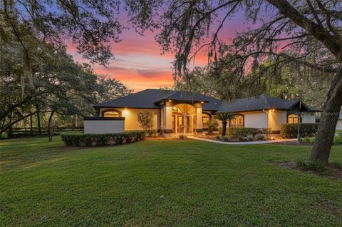 Tiny photo for 4130 N Indianhead Road, Hernando, FL 34442 (MLS # TB8439284)