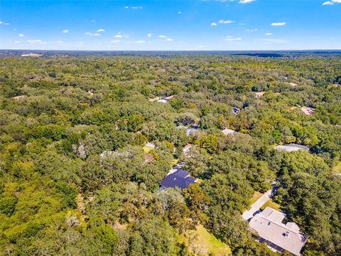 Tiny photo for 4130 N Indianhead Road, Hernando, FL 34442 (MLS # TB8439284)