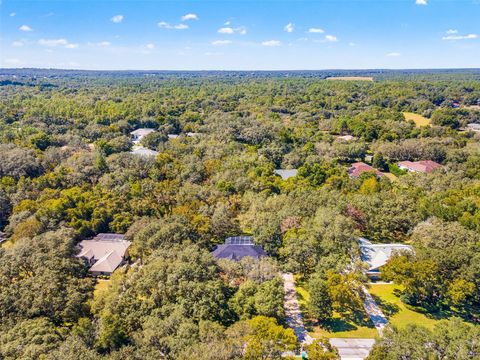 Tiny photo for 4130 N Indianhead Road, Hernando, FL 34442 (MLS # TB8439284)