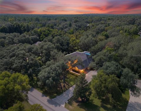 Tiny photo for 4130 N Indianhead Road, Hernando, FL 34442 (MLS # TB8439284)