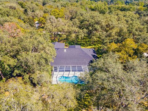 Tiny photo for 4130 N Indianhead Road, Hernando, FL 34442 (MLS # TB8439284)