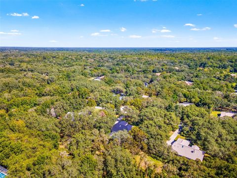 Tiny photo for 4130 N Indianhead Road, Hernando, FL 34442 (MLS # TB8439284)