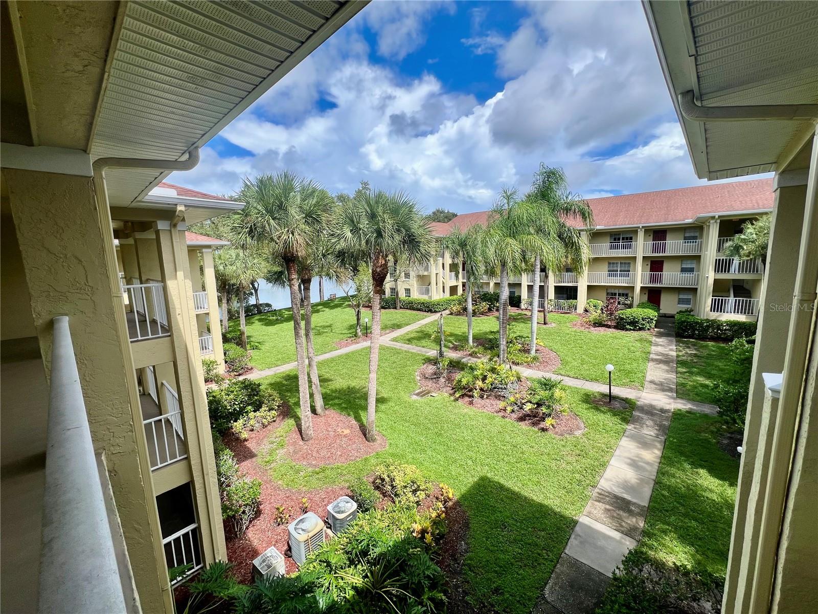 MEADOWLAKE PALM HARBOR CONDO - Residential Lease
