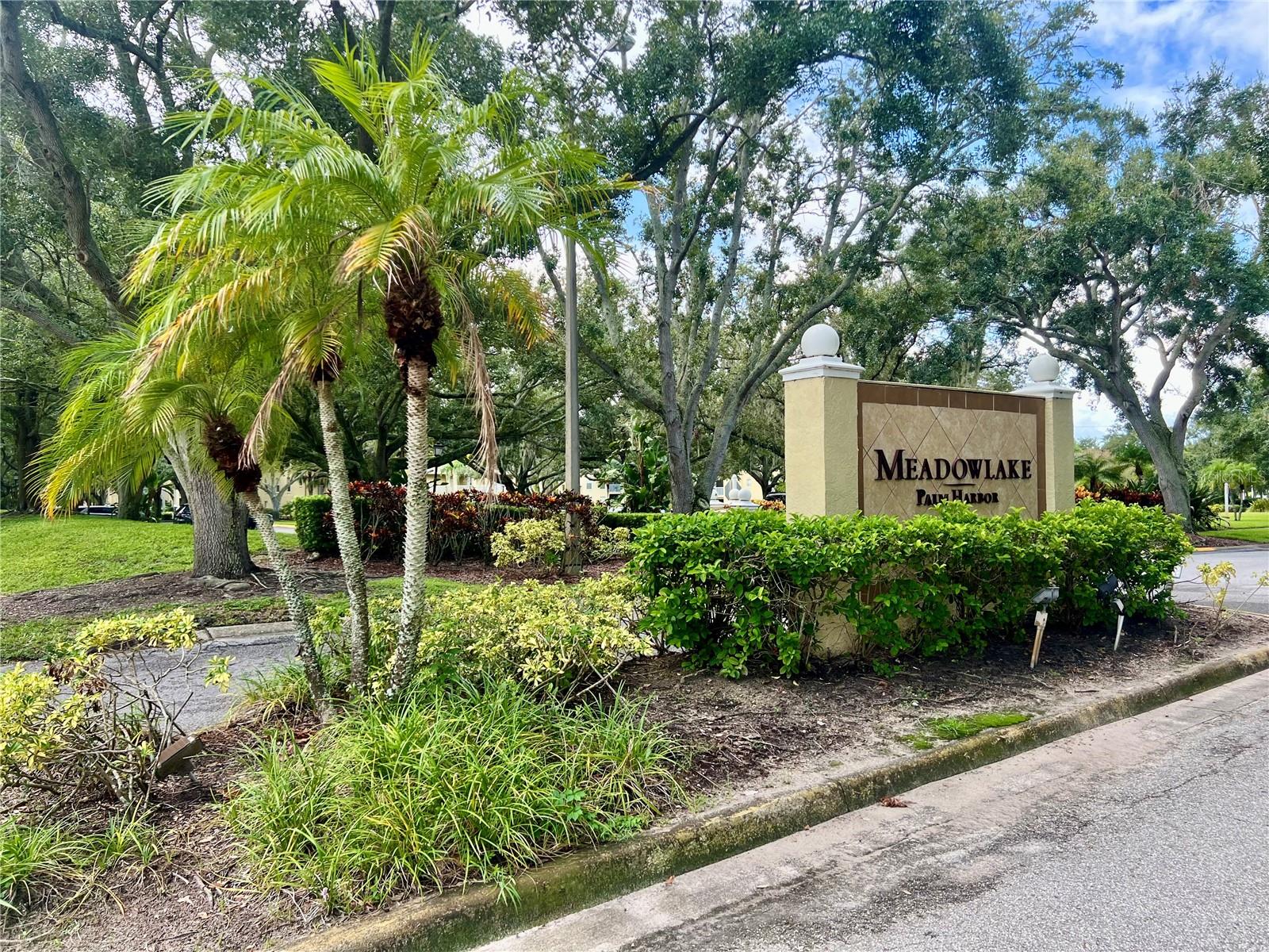 MEADOWLAKE PALM HARBOR CONDO - Residential Lease