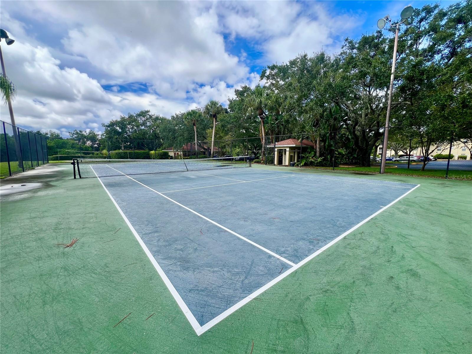 MEADOWLAKE PALM HARBOR CONDO - Residential Lease