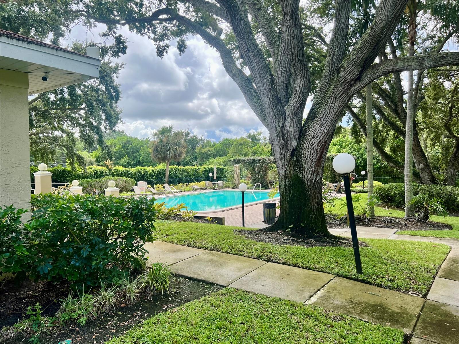 MEADOWLAKE PALM HARBOR CONDO - Residential Lease