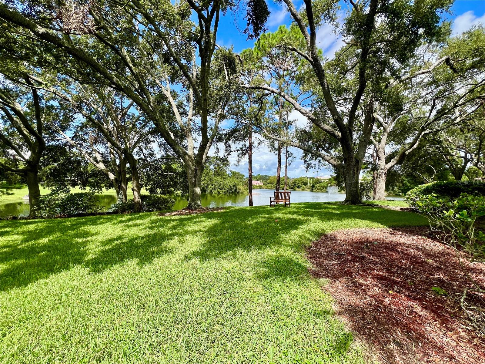 MEADOWLAKE PALM HARBOR CONDO - Residential Lease