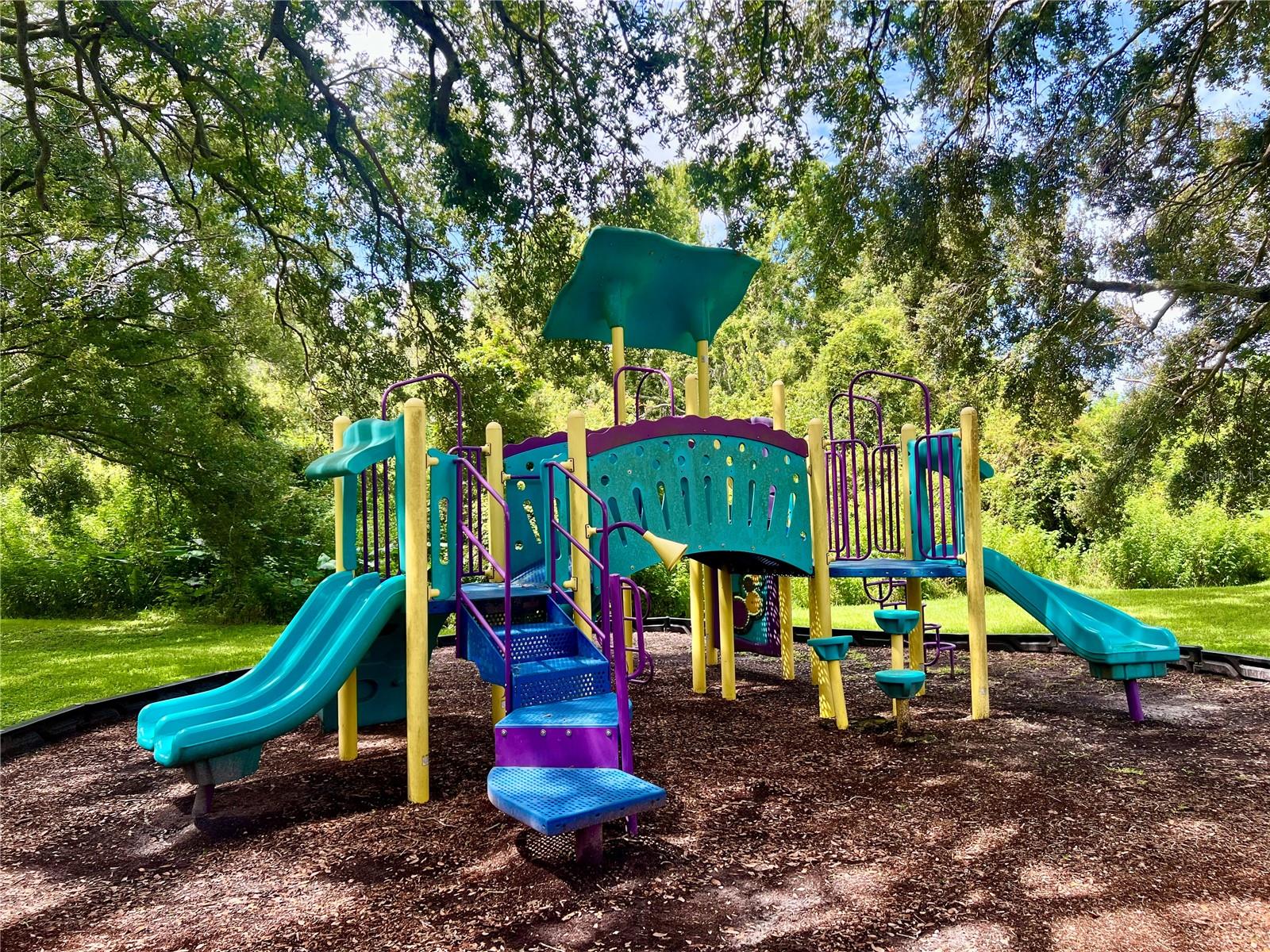 MEADOWLAKE PALM HARBOR CONDO - Residential Lease