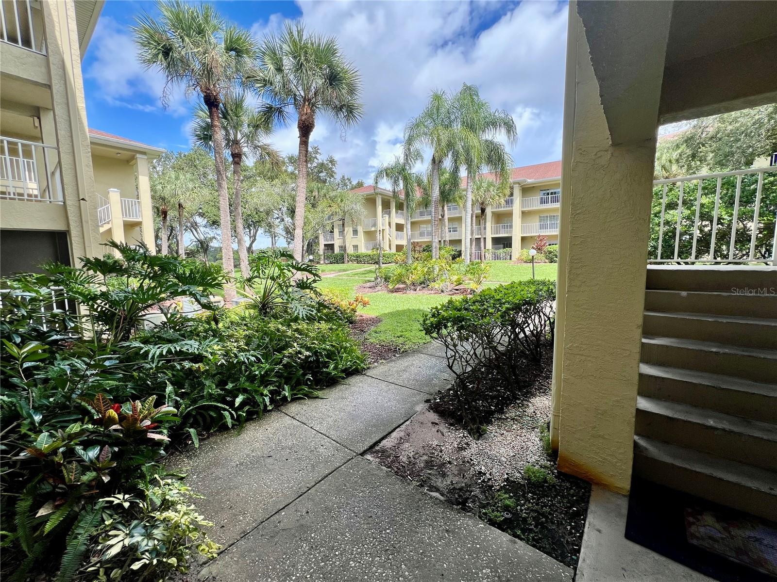 MEADOWLAKE PALM HARBOR CONDO - Residential Lease