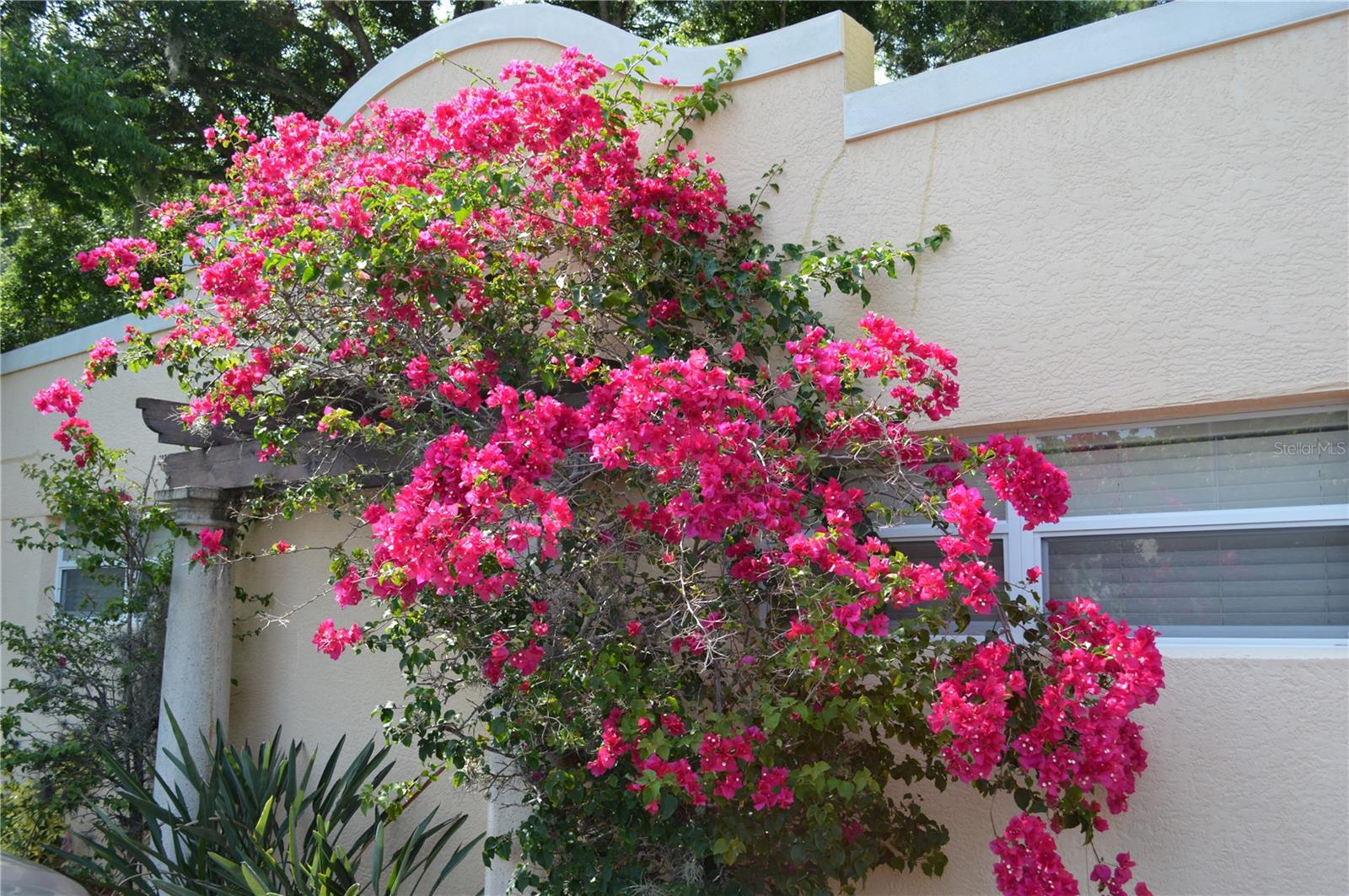 HILLSPREY VILLAS - Residential Lease