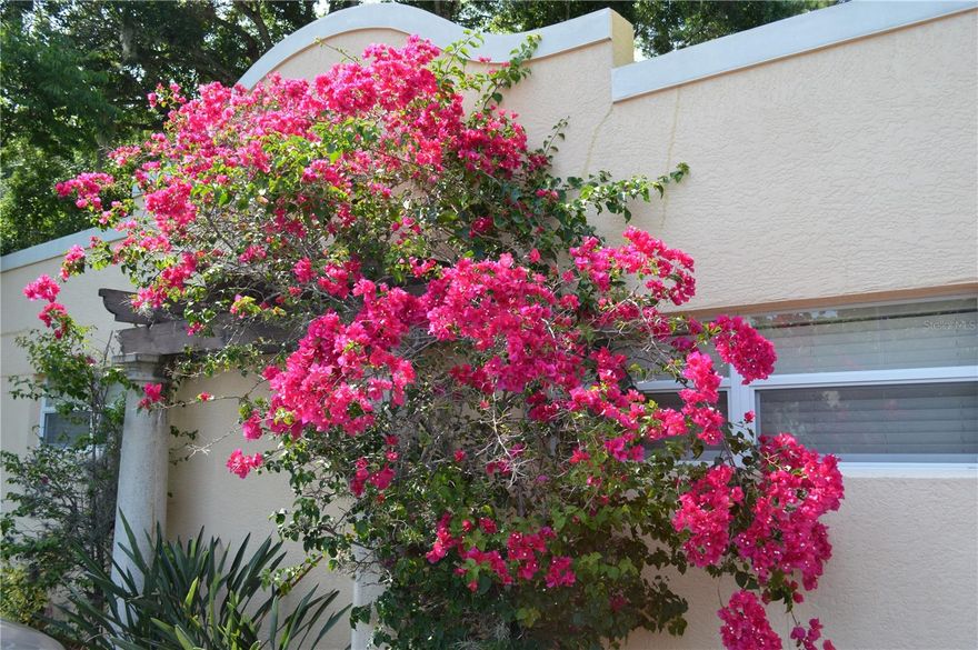 Luxurious Hillview Living - Walk to Dining, Shopping & Sarasota Memorial

Experience upscale city living in this completely updated 2-bedroom, 1-bath home in Hillsprey Villas, an exclusive six-residence community in Sarasota's most desirable location.

Step outside your door and stroll to Morton's Gourmet Market, Sarasota Memorial Hospital, and the vibrant dining, boutique shopping, and nightlife of the Hillview/Osprey district. Downtown Sarasota is just minutes away, and world-famous Siesta Key Beach is under six miles from your doorstep.

Features include all-new appliances, premium custom cabinetry by Andrews Design, Crystal White quartz countertops, low-maintenance porcelain tile flooring throughout, in-unit washer and dryer, acoustical wall paneling, private outdoor sitting area, and two dedicated parking spaces. 

This rarely available home offers the perfect blend of luxury, convenience, and walkability. Schedule your private showing today!