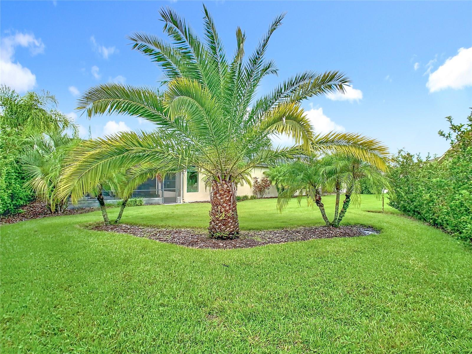 314 MONTECITO PLACE