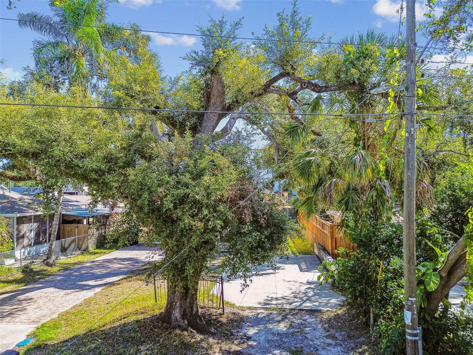 COTTERS SPRING HILL SUB ADD - Residential