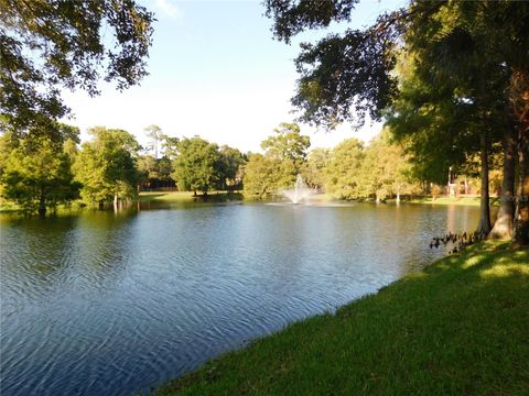 A home in PALM HARBOR