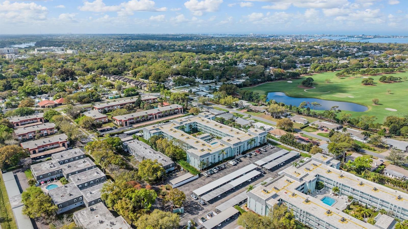 1706 BELLEAIR FOREST DRIVE 220