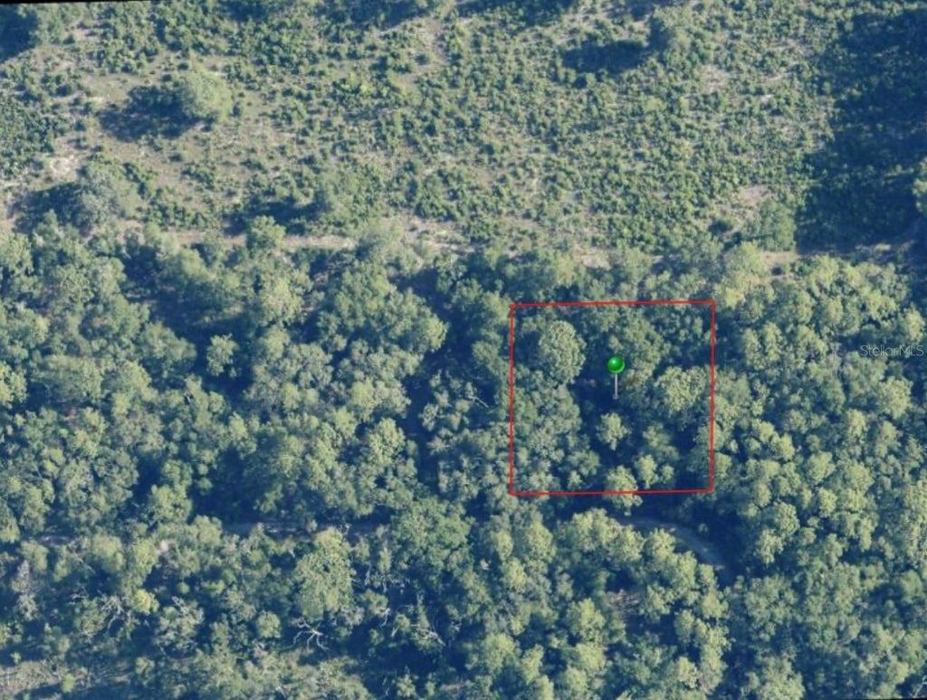 Photo of 7065 W Rainbow Street, Dunnellon, FL 34433 (MLS # TB8525529)