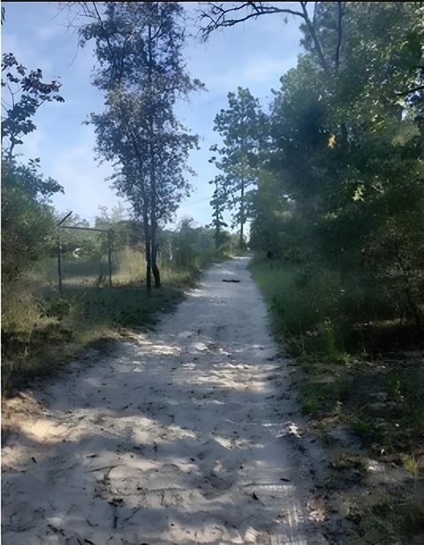 Photo of SE 60 Street, Morriston, FL 32668 (MLS # GC540323)
