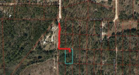 Tiny photo for SE 60 Street, Morriston, FL 32668 (MLS # GC540323)