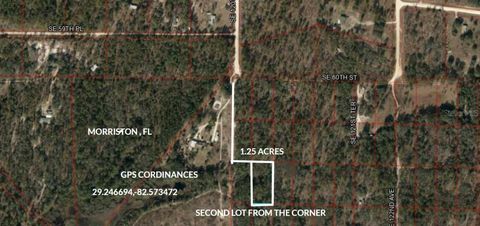 Tiny photo for SE 60 Street, Morriston, FL 32668 (MLS # GC540323)