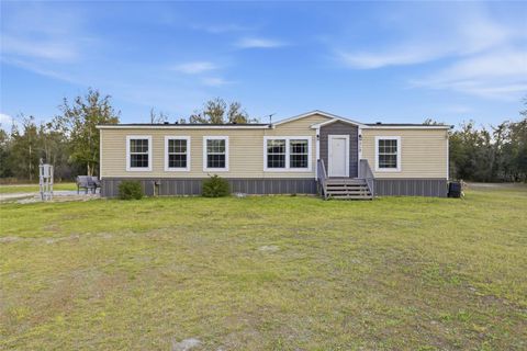 Photo of 710 SW Scout Glen, Fort White, FL 32038 (MLS # GC538224)