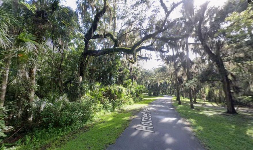 .64 Acre Lot with Access Easement until Horseshoe Road is Better Constructed. Survey is Available.NO HOA Fees! 
.64 Acre Lot in Stone Island an Established Equestrian Community Situated on Lake Monroe.  This Oversized Lot in a Charming & Peaceful Boating Community with Picturesque Winding Roads and Large Majestic Trees Offers So Much Privacy. Room for Pool, RV, Boats and Horses Too! The Stone Island Community features include Boat Ramp, Horse Stables,Pavillion , Playground and Tennis Courts! Priced to Sell Fast This Gem Won't Last Long!!