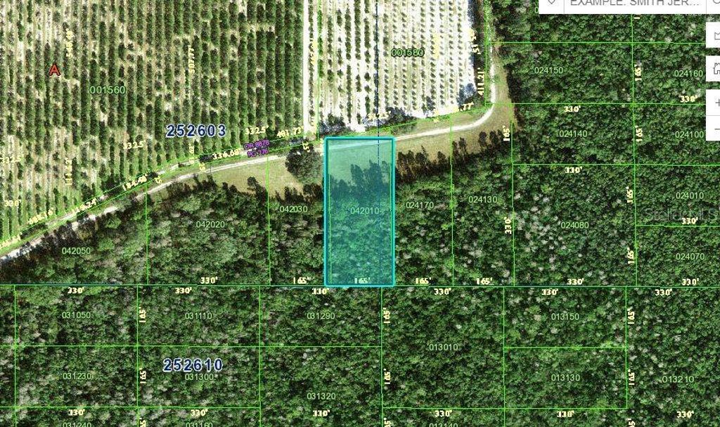 Photo of Deen Still Road, Polk City, FL 33868 (MLS # O6228699)