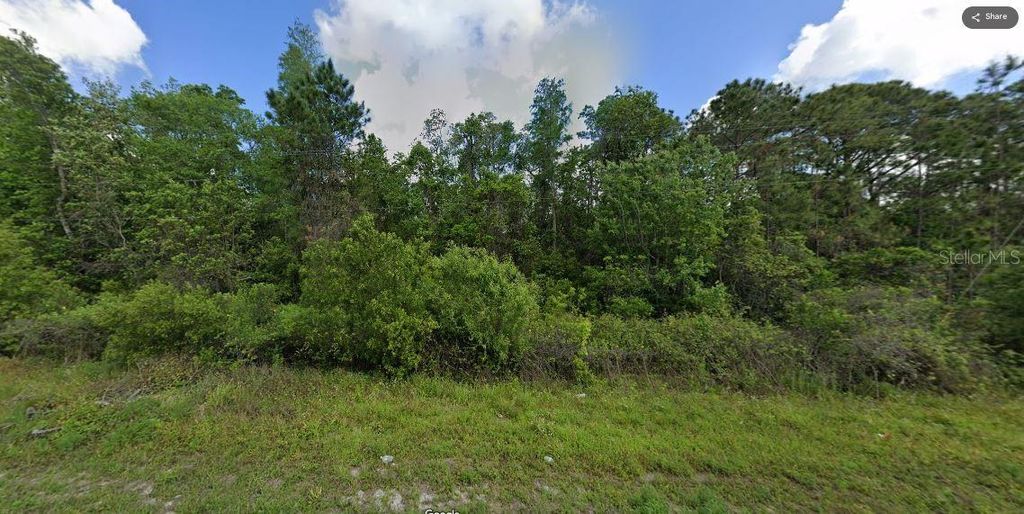 Photo of Deen Still Road, Polk City, FL 33868 (MLS # O6228699)